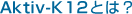 Aktiv-K12�Ƃ́H